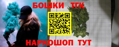 индика Мариинск