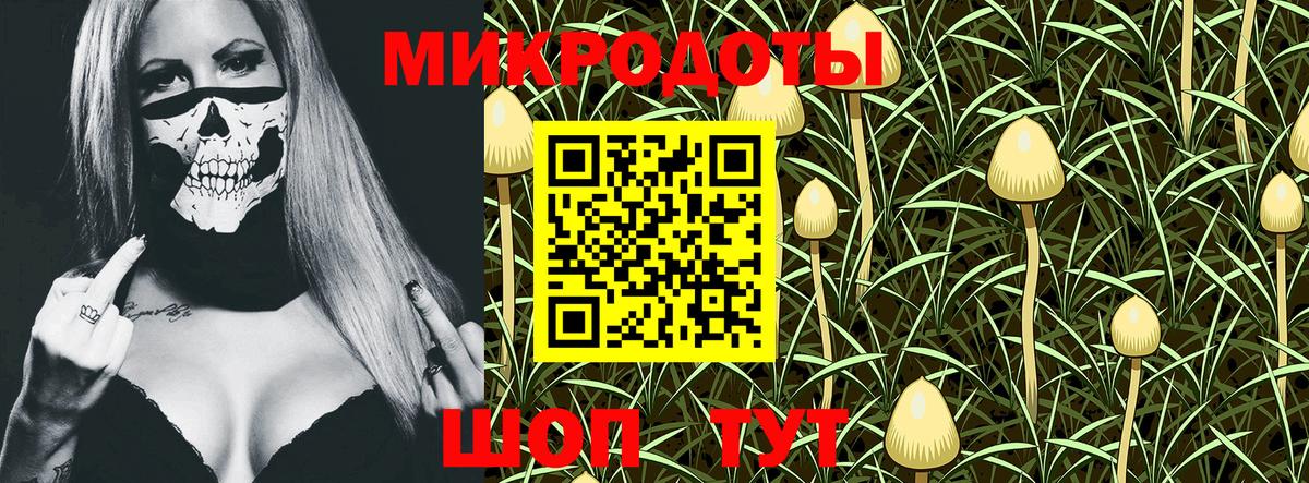 закладка  Галлюциногенные грибы Psilocybe  Псилоцибиновые грибы мухоморы  Вход с VPN  Владимир 